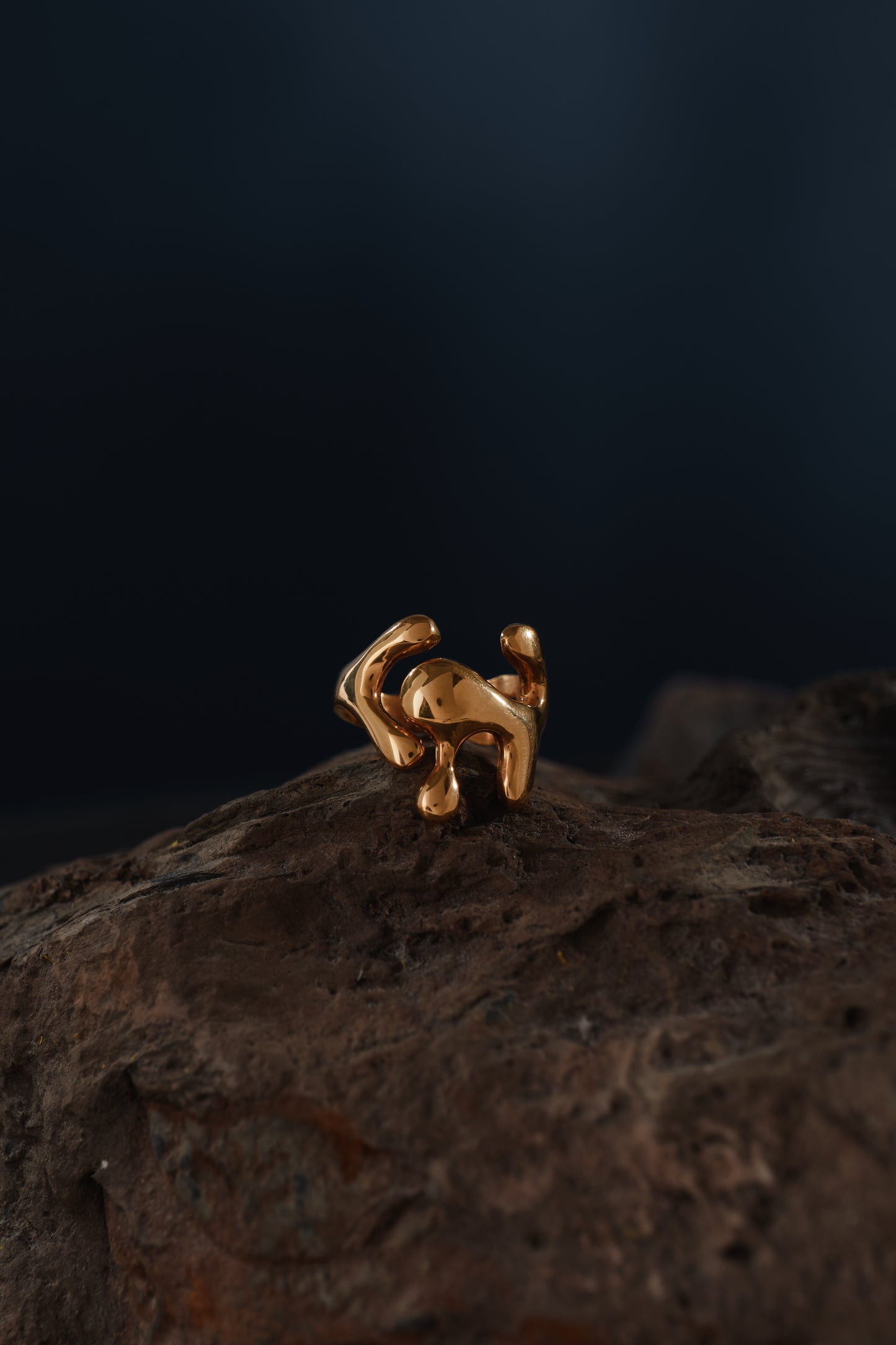 Parana Ring